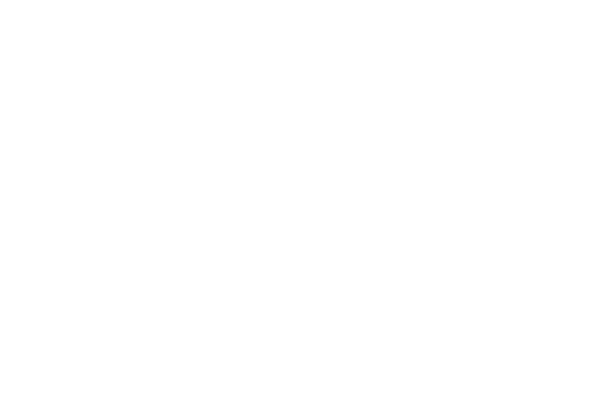 Biz Times Now